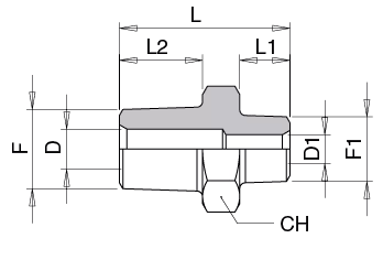 Schema Grafico NIPPLO MASCHIO RIDOTTO FILETTATURA GAS CONICA BSPT AERTUBI S.r.l.